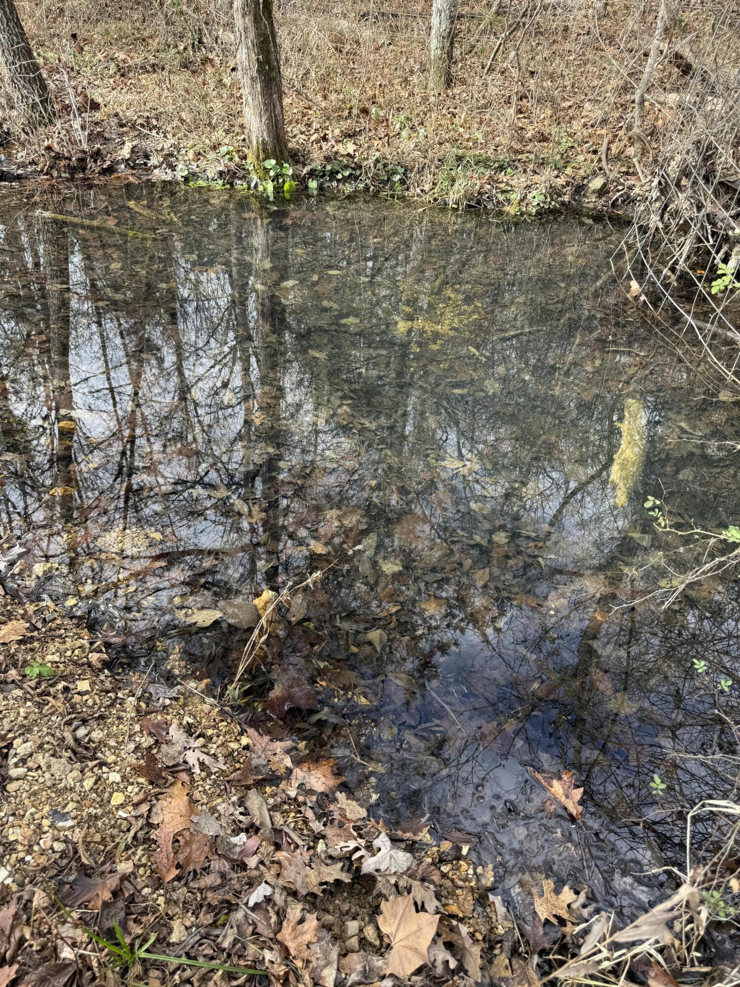 Photo 50 - Land for sale – 000  Varvel Rd   Willow Springs, MO