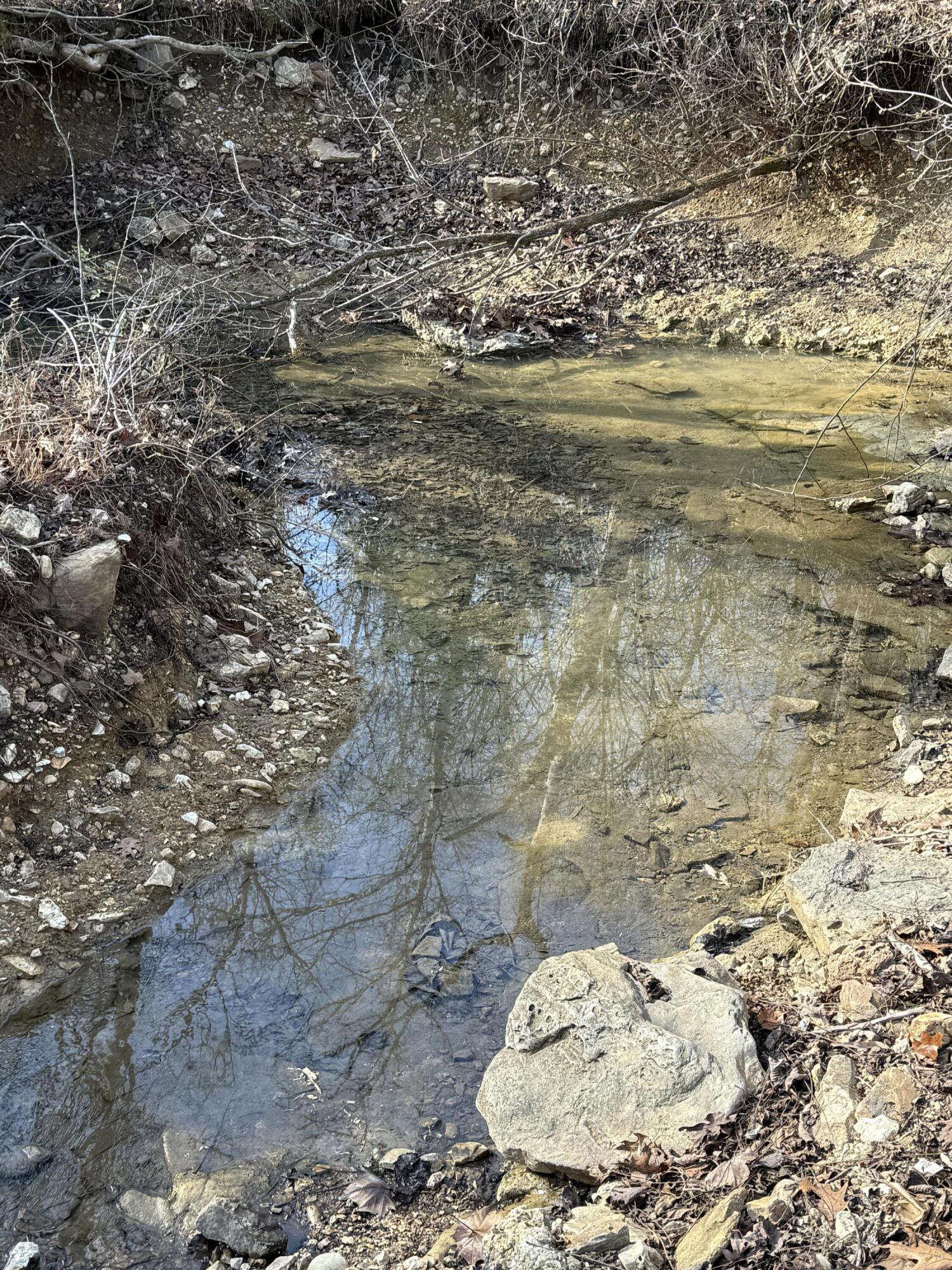 Photo 12 - Land for sale – 000  Varvel Rd   Willow Springs, MO