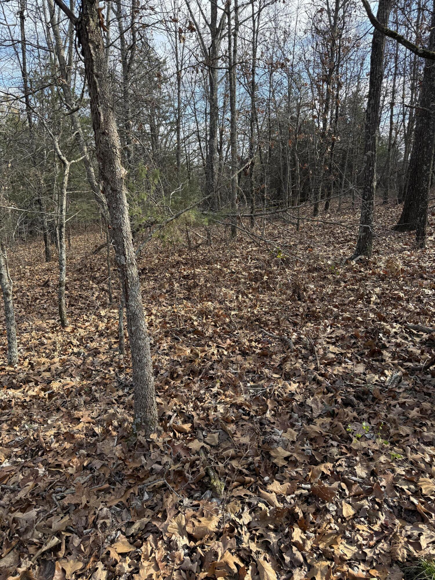 Photo 24 - Land for sale – 000  Varvel Rd   Willow Springs, MO