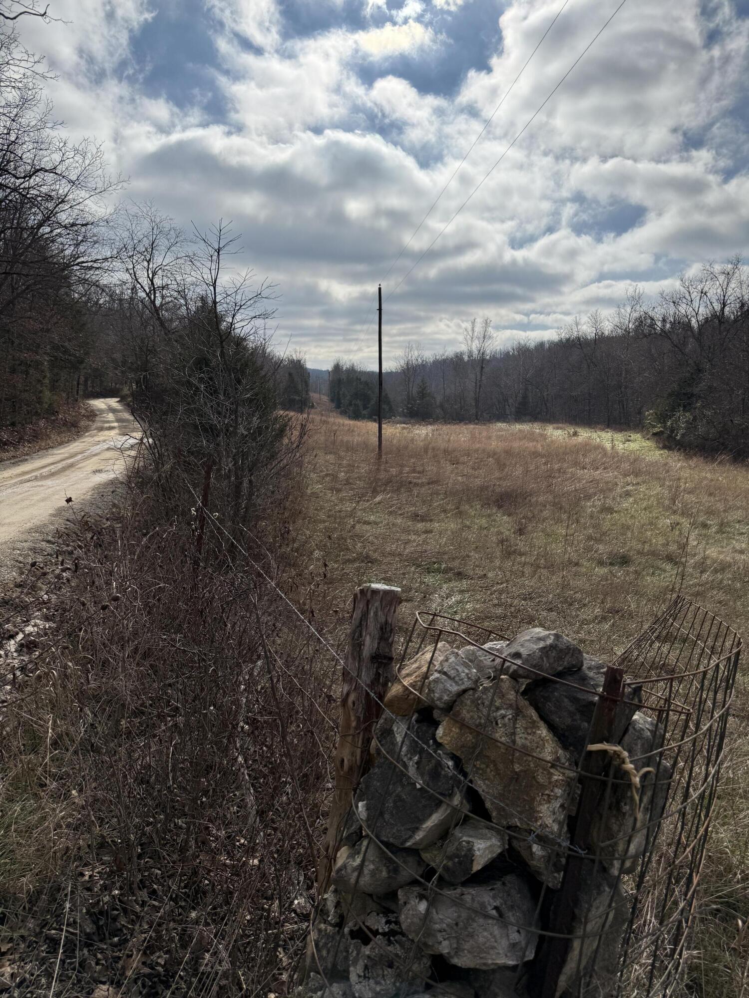 Photo 60 - Land for sale – 000  Varvel Rd   Willow Springs, MO