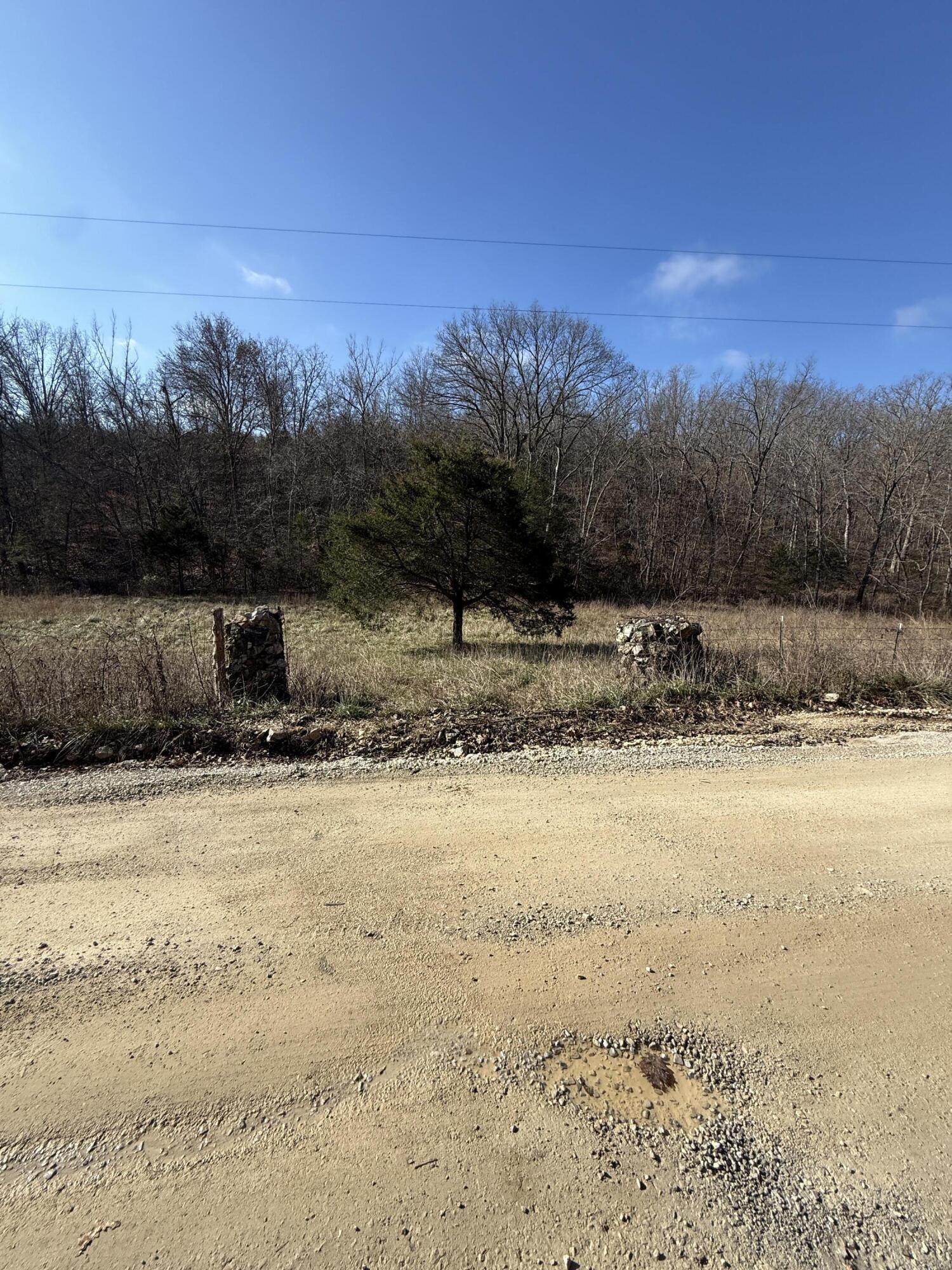 Photo 2 - Land for sale – 000  Varvel Rd   Willow Springs, MO