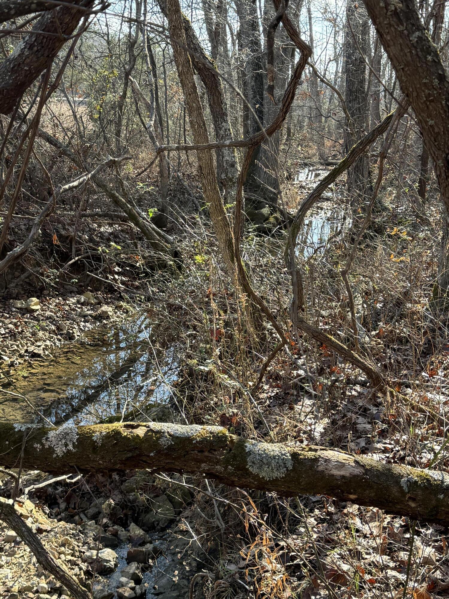 Photo 30 - Land for sale – 000  Varvel Rd   Willow Springs, MO