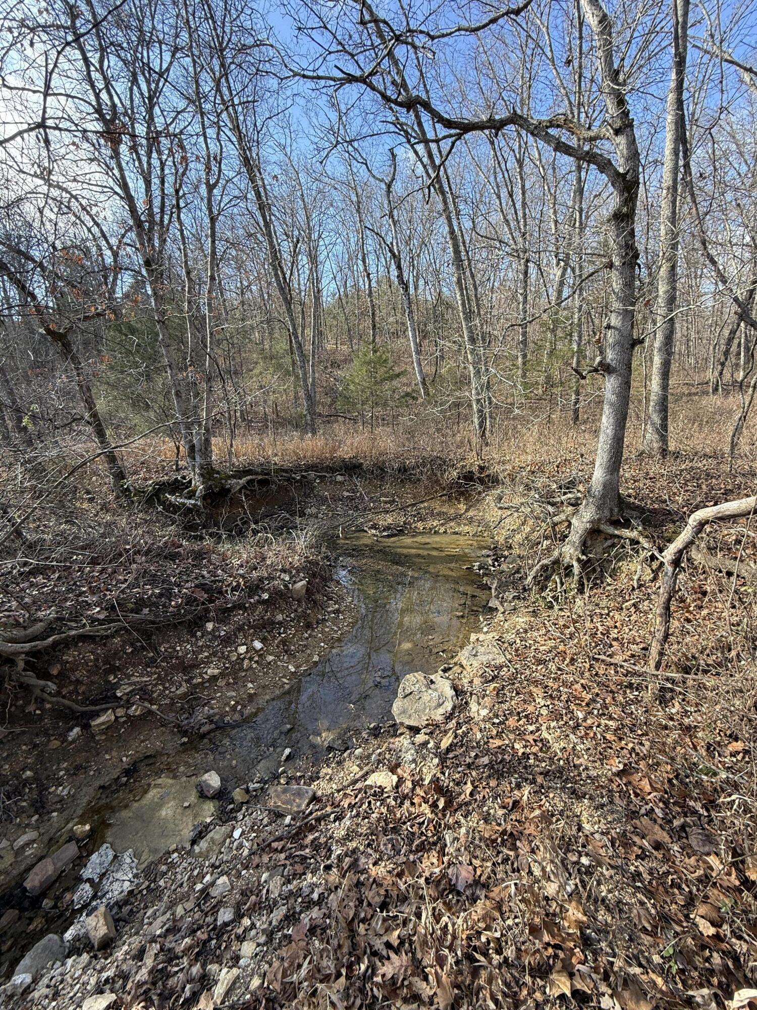 Photo 14 - Land for sale – 000  Varvel Rd   Willow Springs, MO