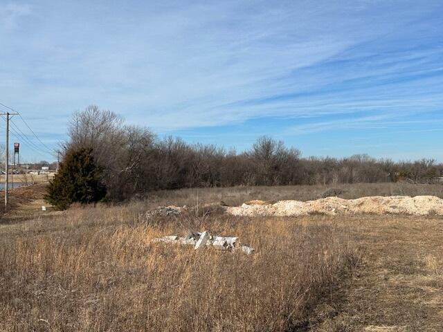 Photo 2 - Land for sale – Xxx S Prigmor Avenue  Joplin, MO