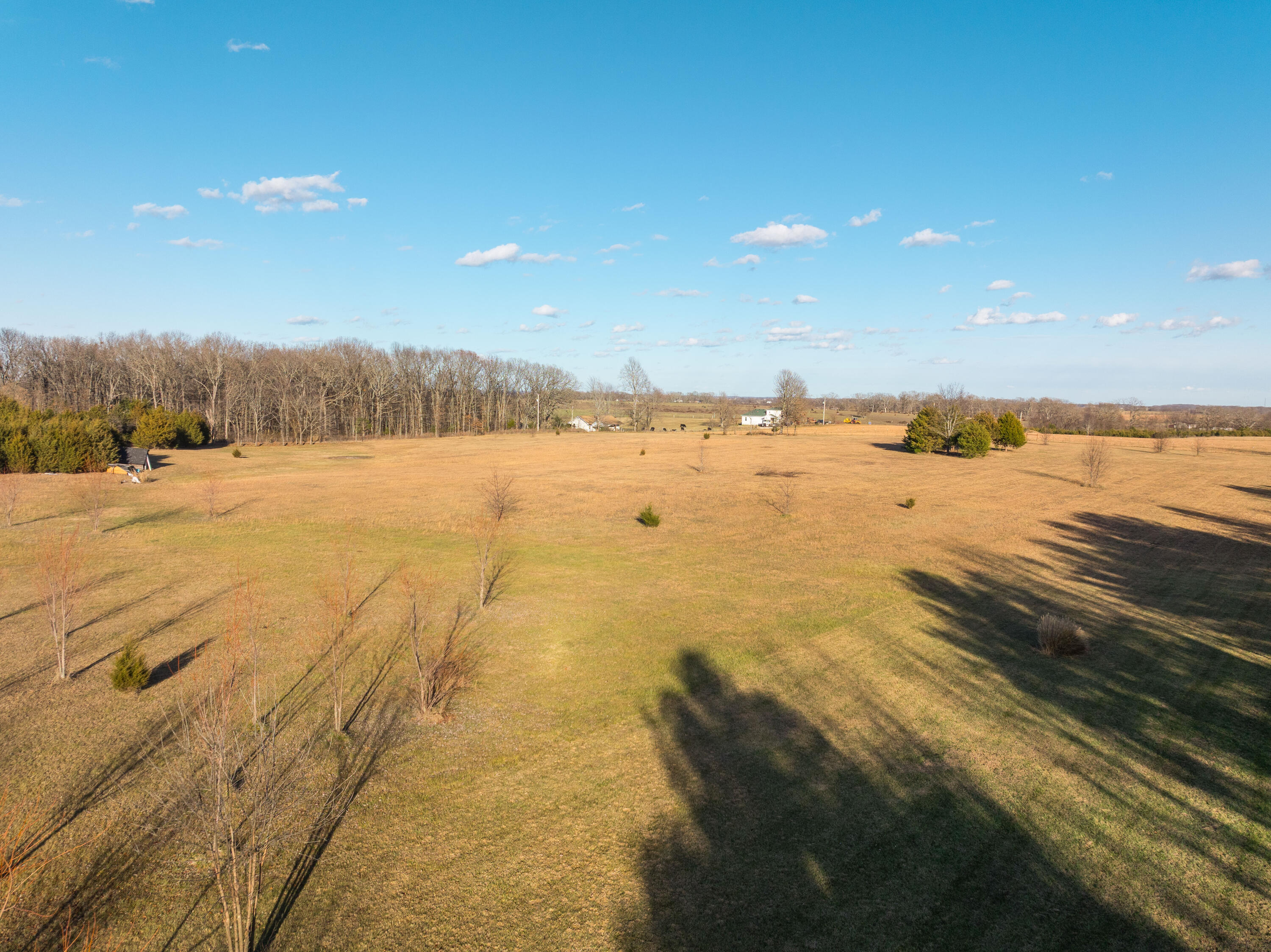 Photo 5 - Land for sale – 000  Logan Avenue  Highlandville, MO