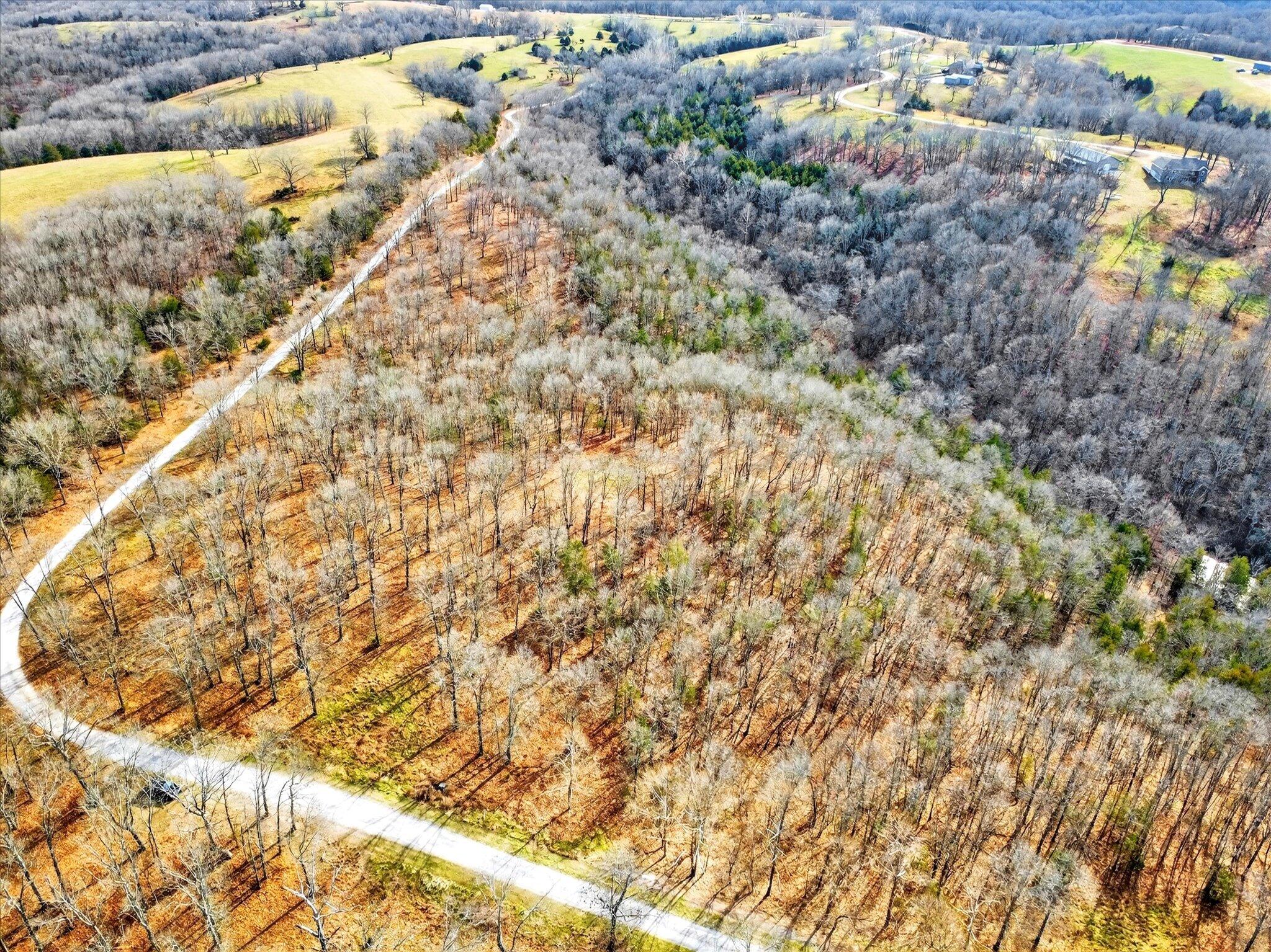 Photo 2 - Land for sale – 000  Regal Heights   Galena, MO