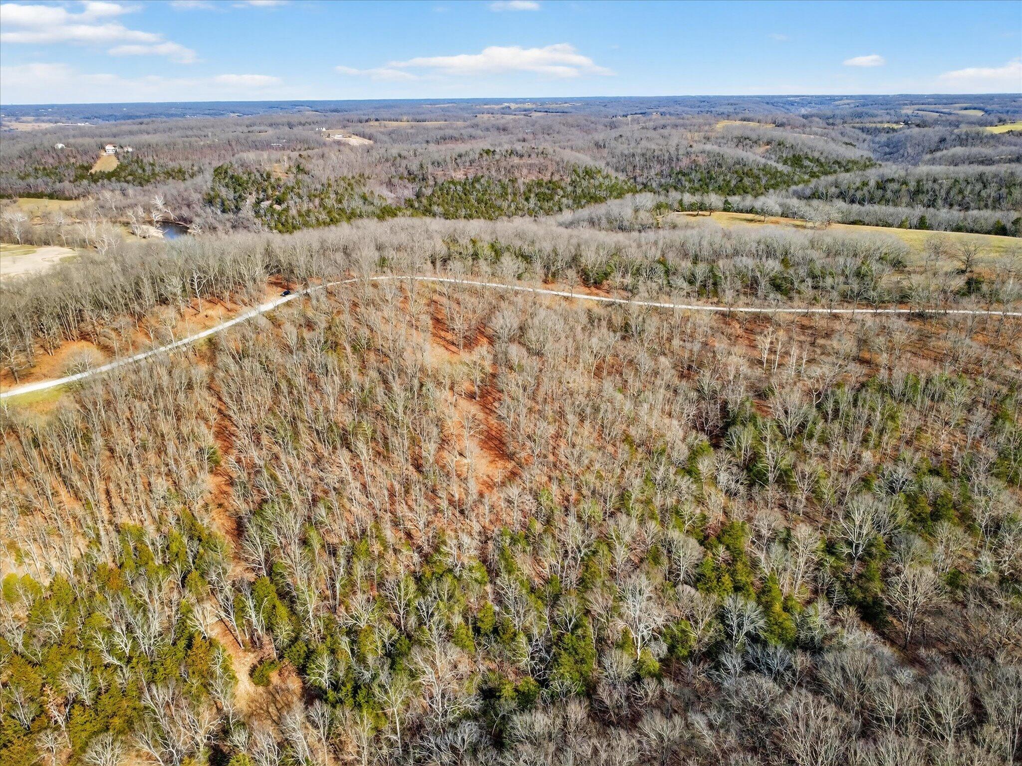 Photo 7 - Land for sale – 000  Regal Heights   Galena, MO