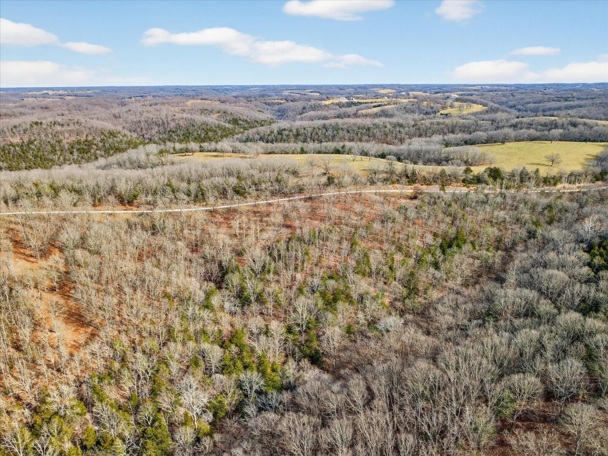 Photo 8 - Land for sale – 000  Regal Heights   Galena, MO
