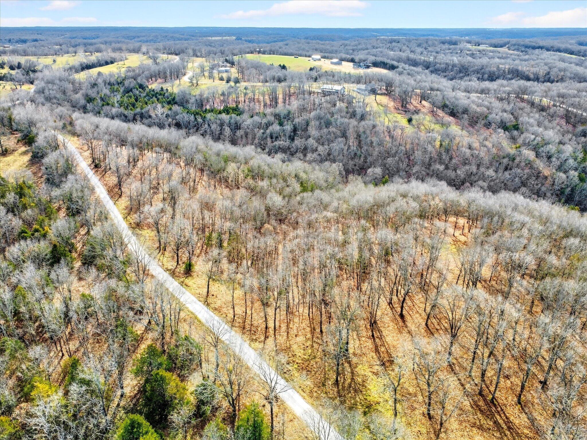 Photo 6 - Land for sale – 000  Regal Heights   Galena, MO