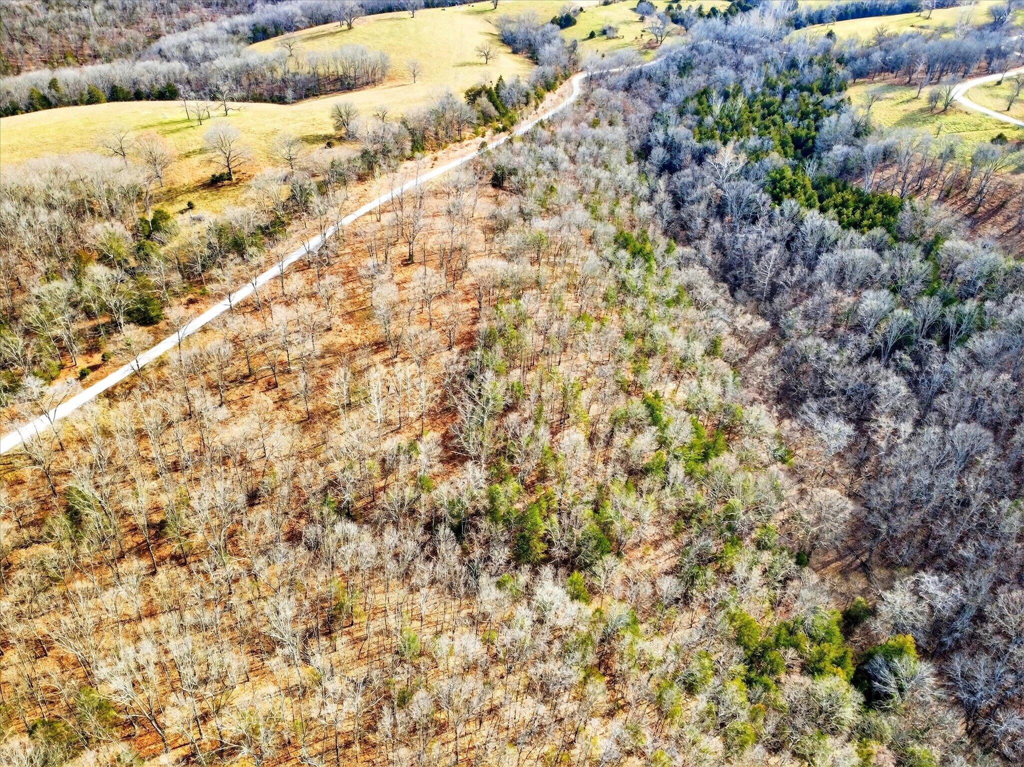 Photo 10 - Land for sale – 000  Regal Heights   Galena, MO