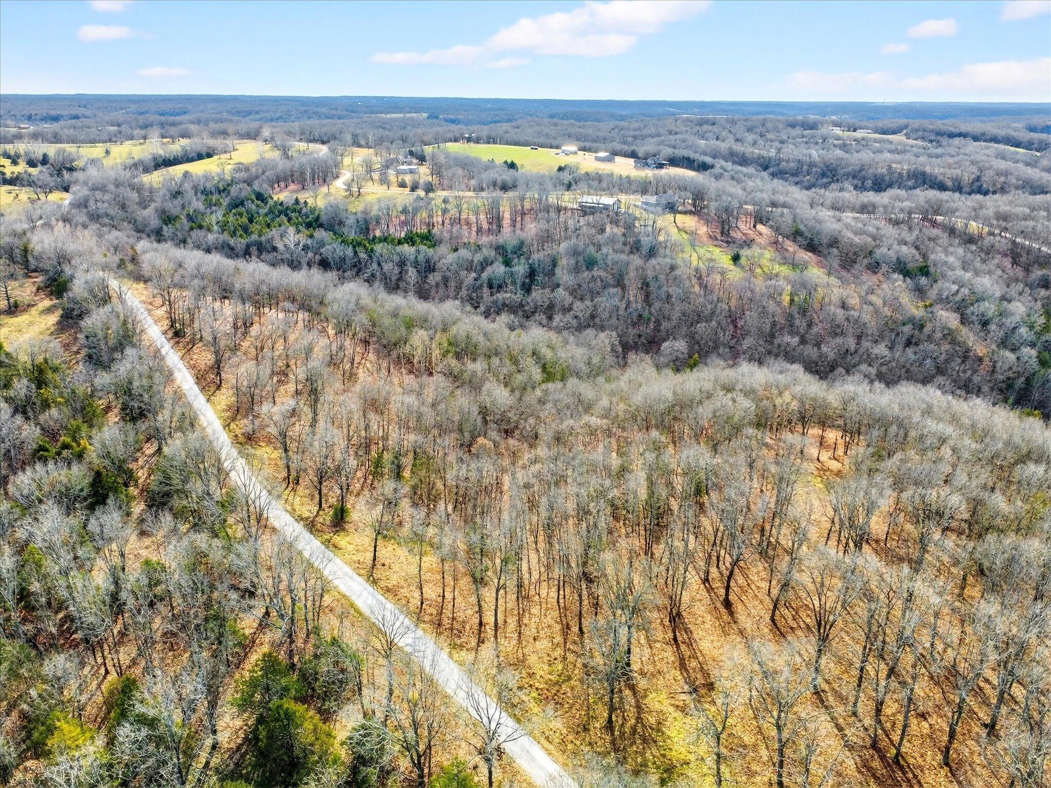 Photo 5 - Land for sale – 000  Regal Heights   Galena, MO