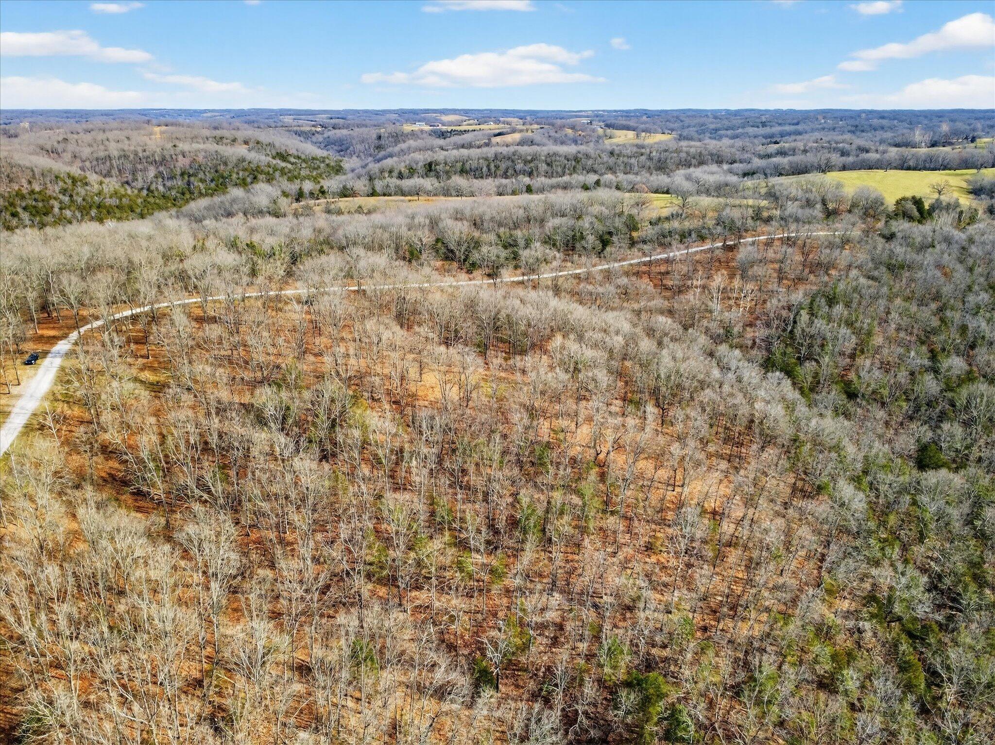 Photo 9 - Land for sale – 000  Regal Heights   Galena, MO