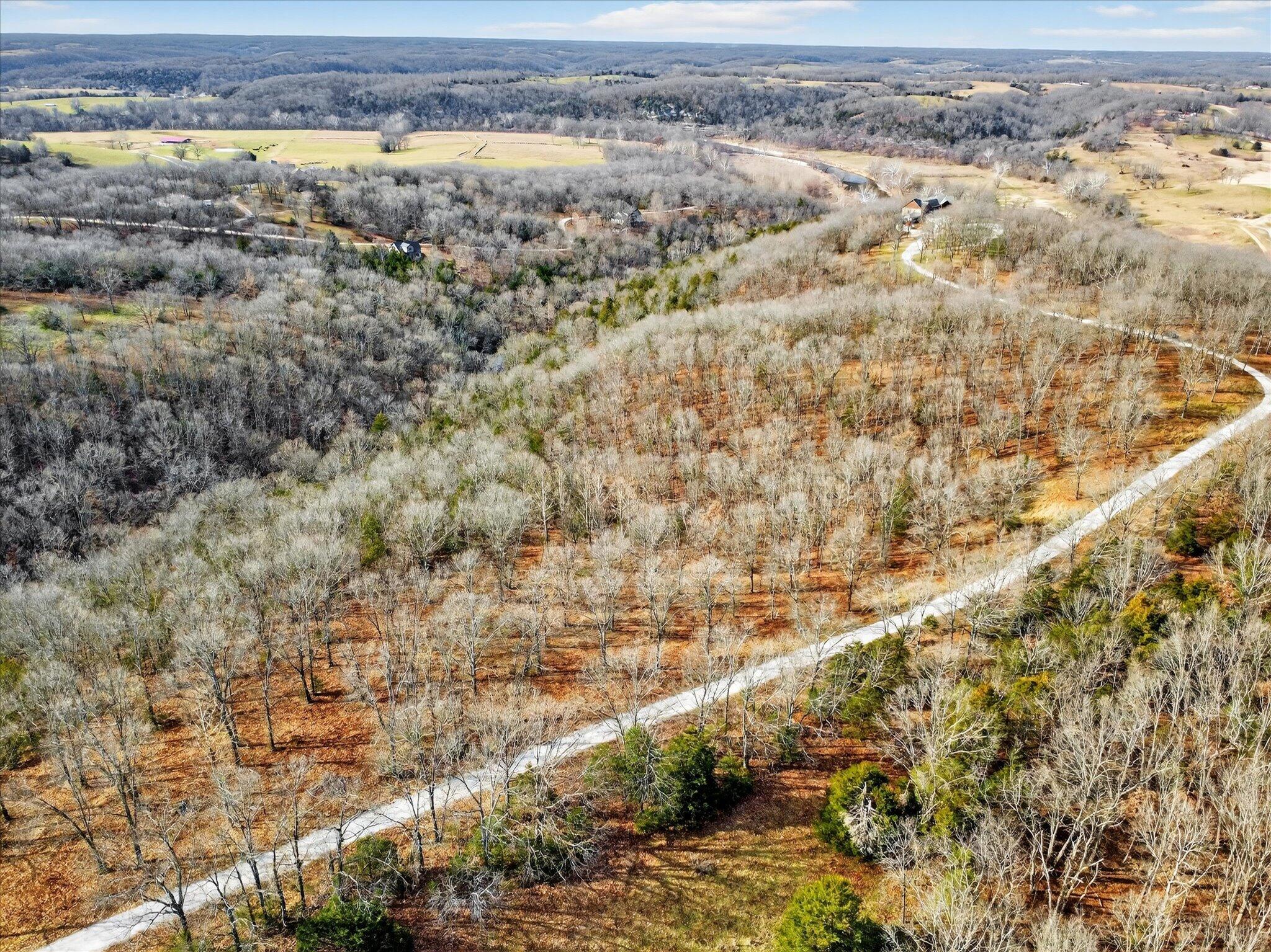 Photo 2 - Land for sale – 000  Regal Heights   Galena, MO