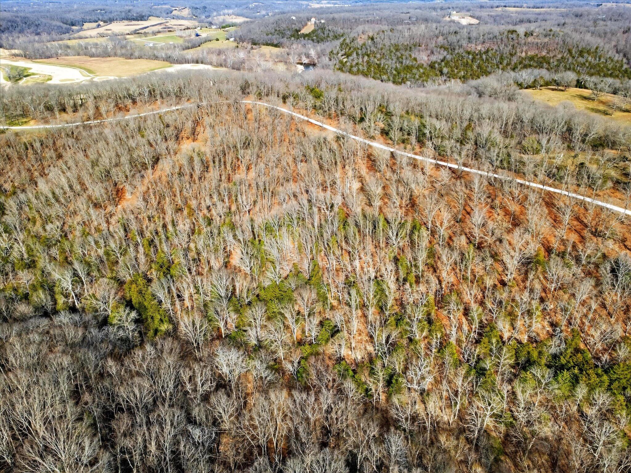 Photo 5 - Land for sale – 000  Regal Heights   Galena, MO