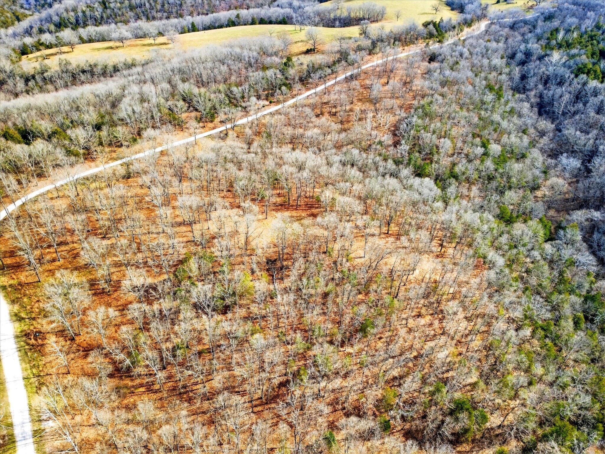 Photo 9 - Land for sale – 000  Regal Heights   Galena, MO