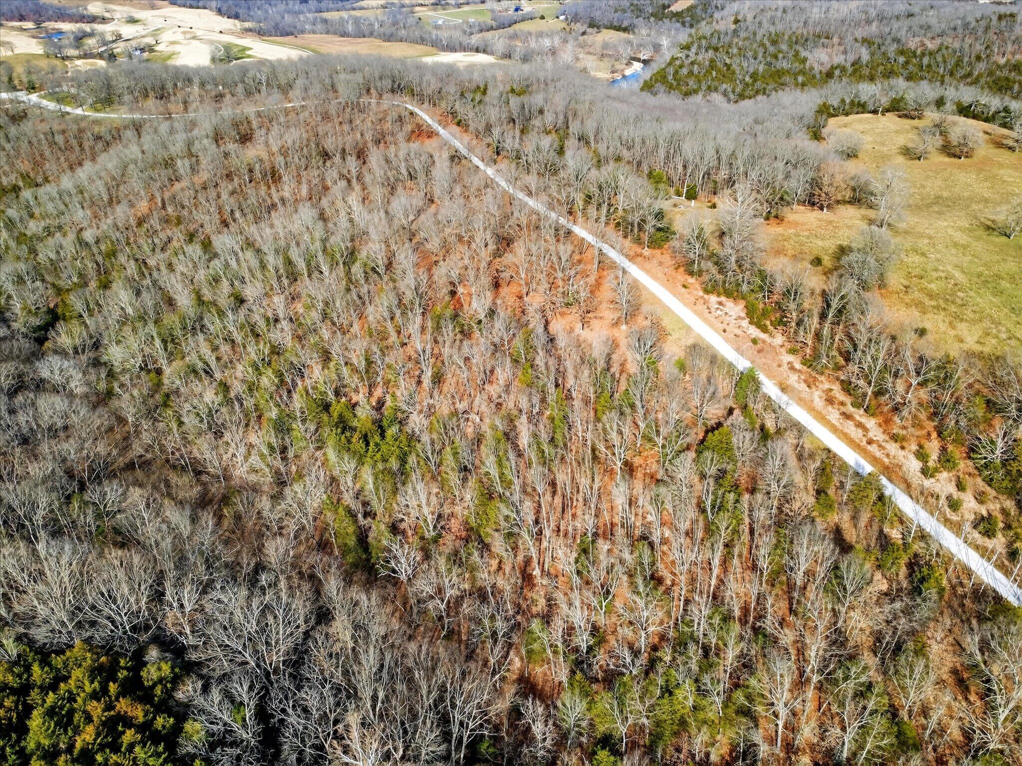 Photo 4 - Land for sale – 000  Regal Heights   Galena, MO