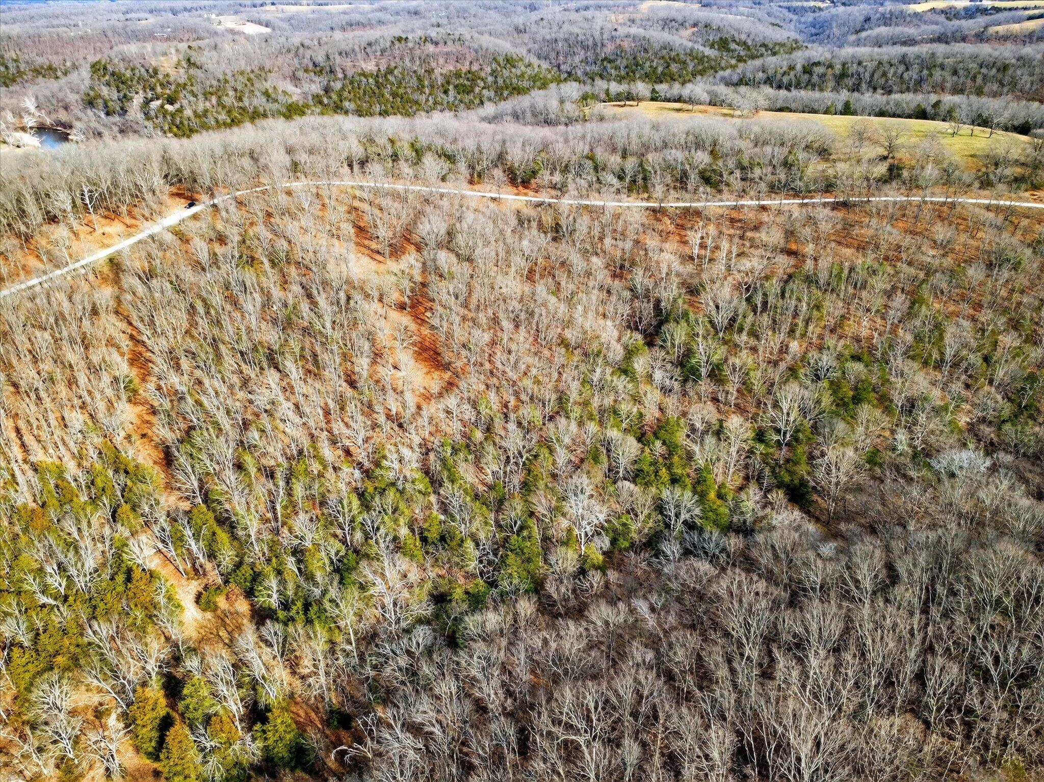 Photo 7 - Land for sale – 000  Regal Heights   Galena, MO