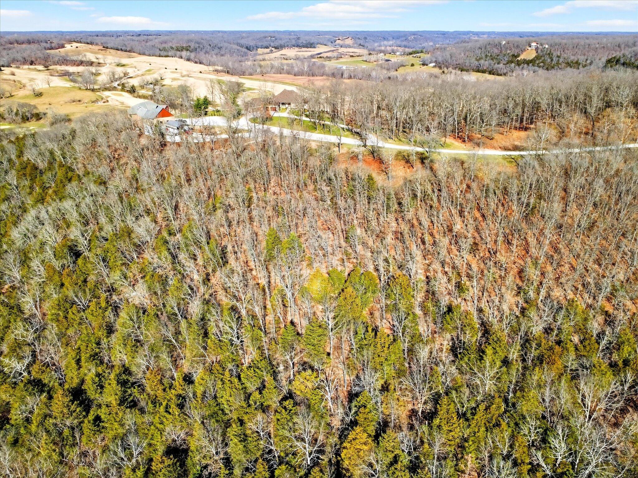 Photo 4 - Land for sale – 000  Regal Heights   Galena, MO