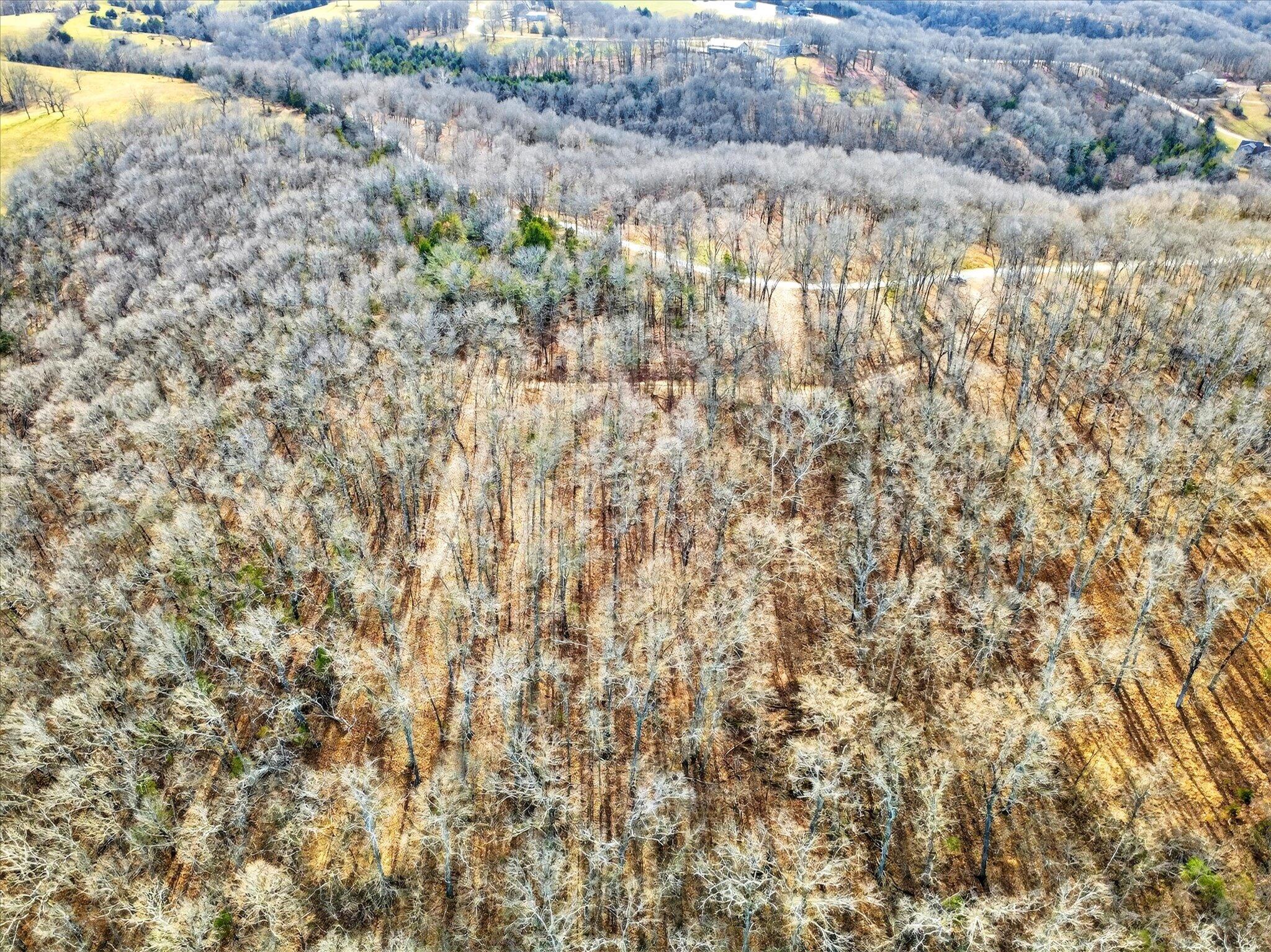 Photo 2 - Land for sale – 000  Regal Heights   Galena, MO