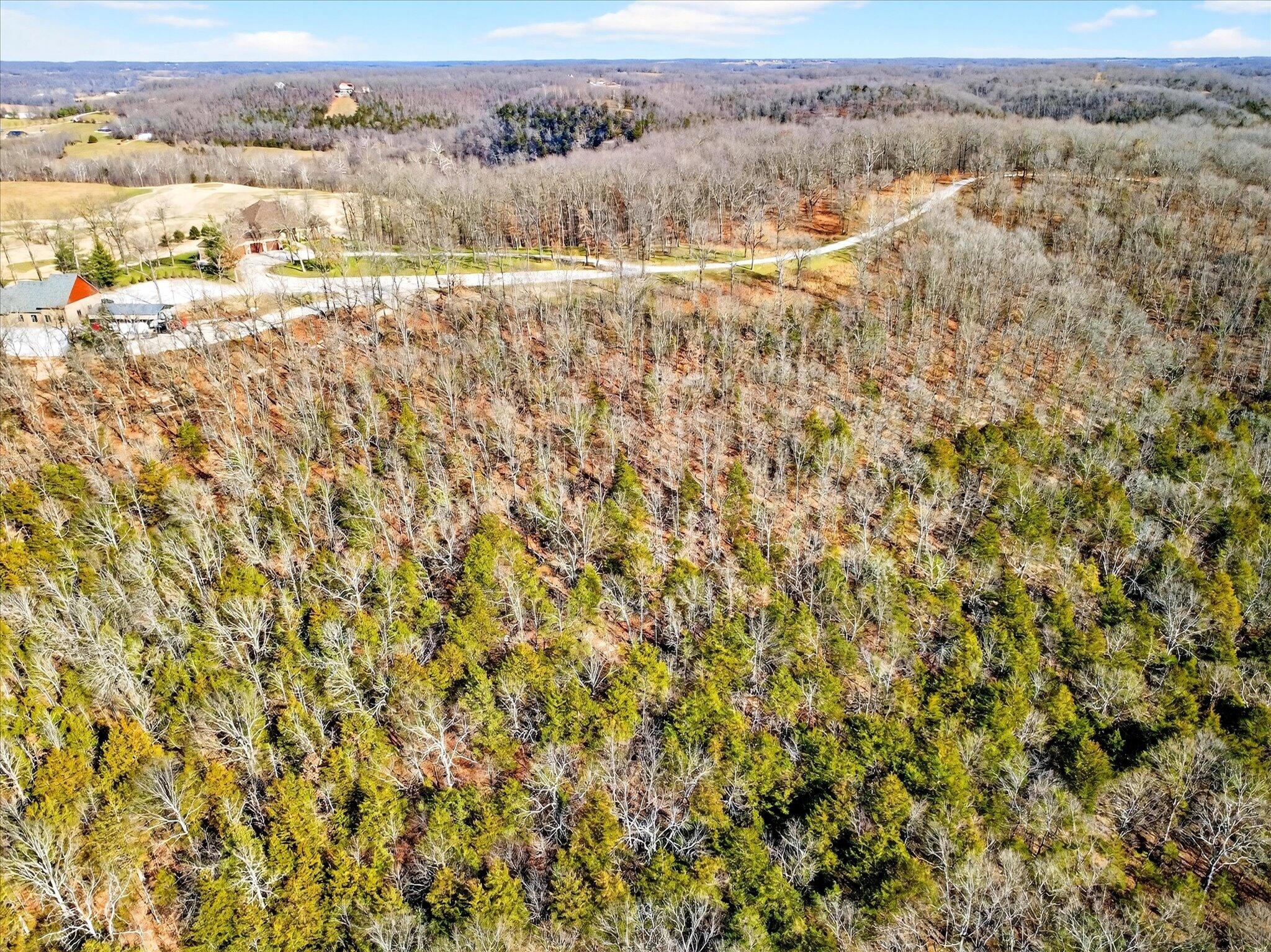Photo 3 - Land for sale – 000  Regal Heights   Galena, MO