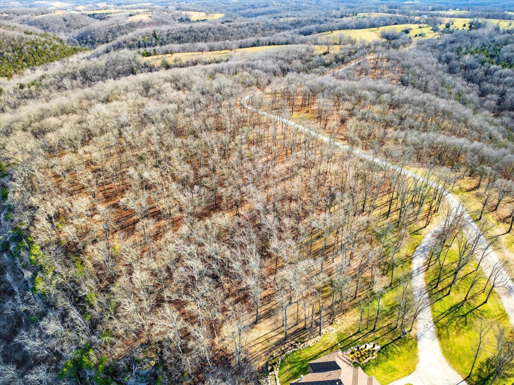 Photo 11 - Land for sale – 000  Regal Heights   Galena, MO