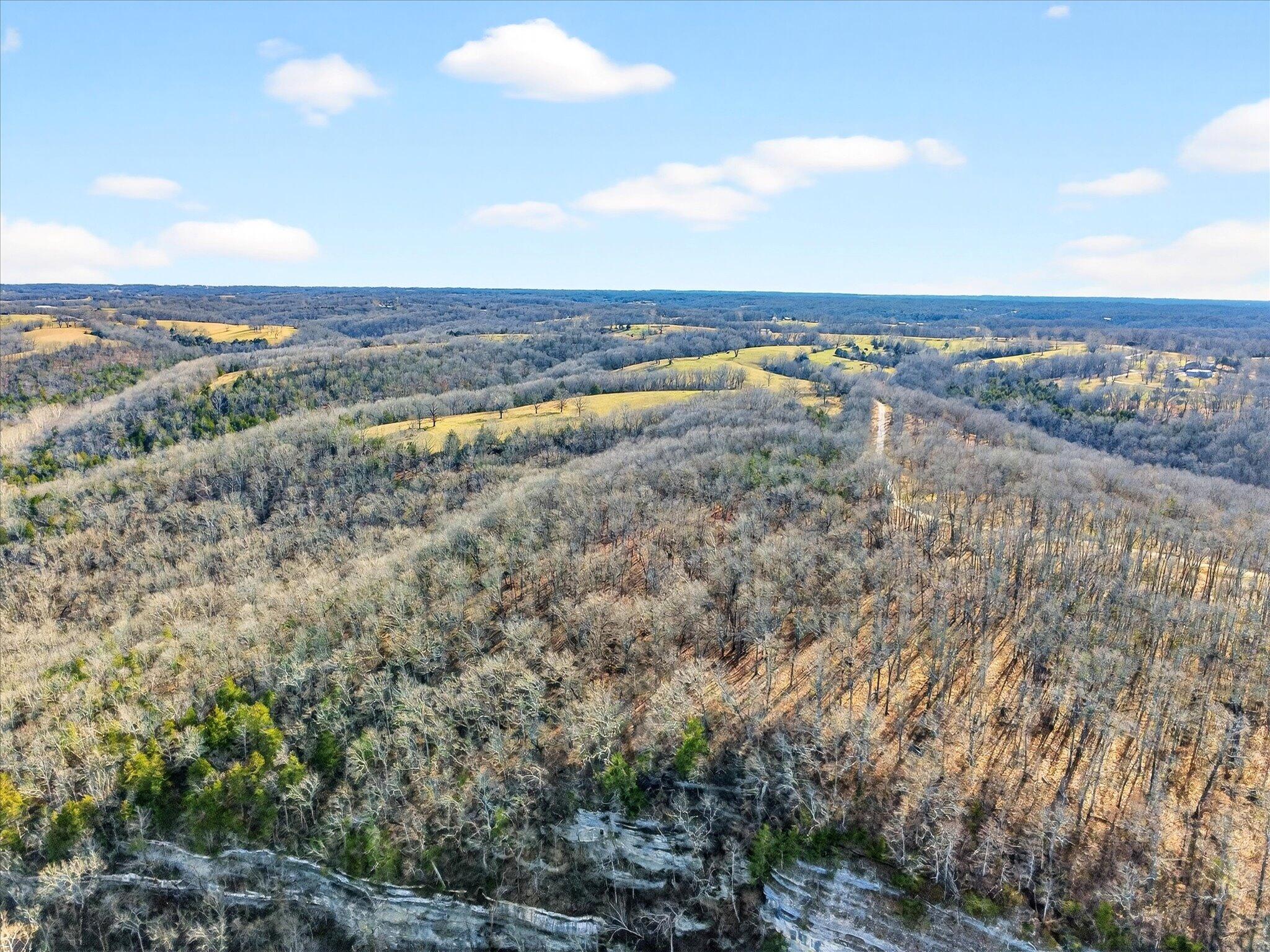 Photo 8 - Land for sale – 000  Regal Heights   Galena, MO