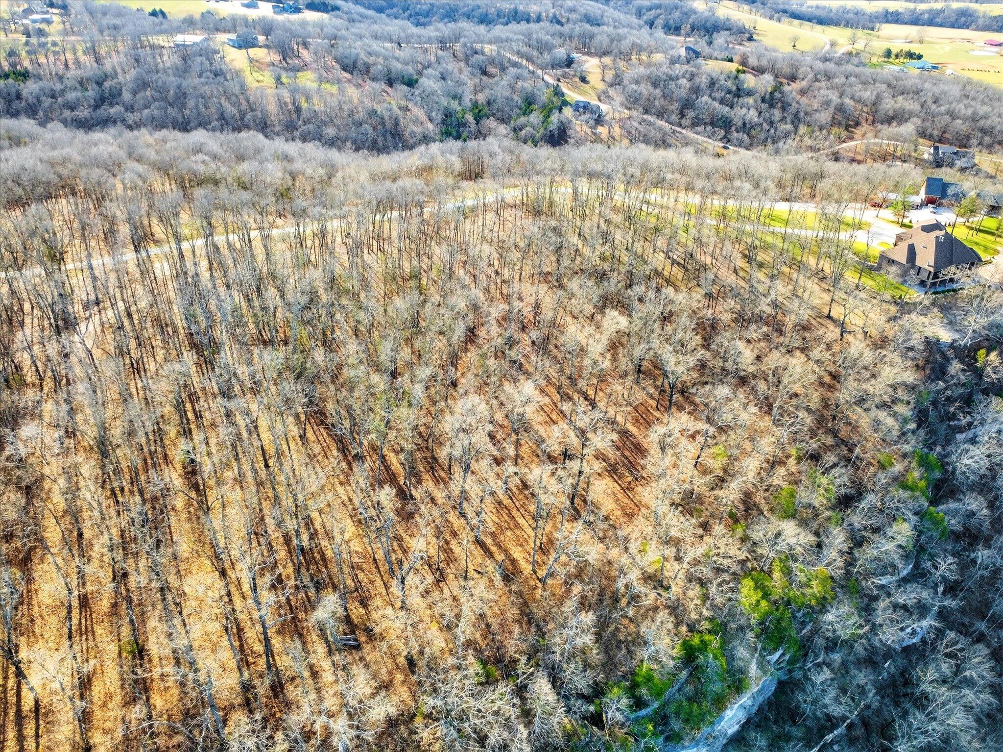 Photo 12 - Land for sale – 000  Regal Heights   Galena, MO