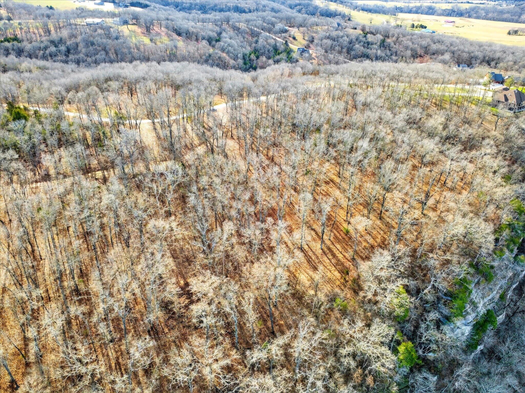 Photo 16 - Land for sale – 000  Regal Heights   Galena, MO