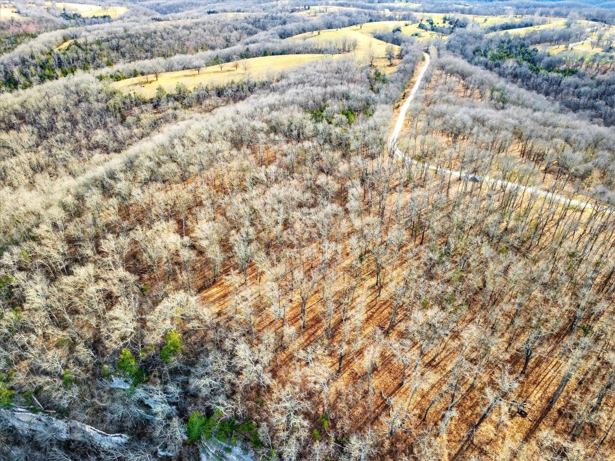 Photo 12 - Land for sale – 000  Regal Heights   Galena, MO