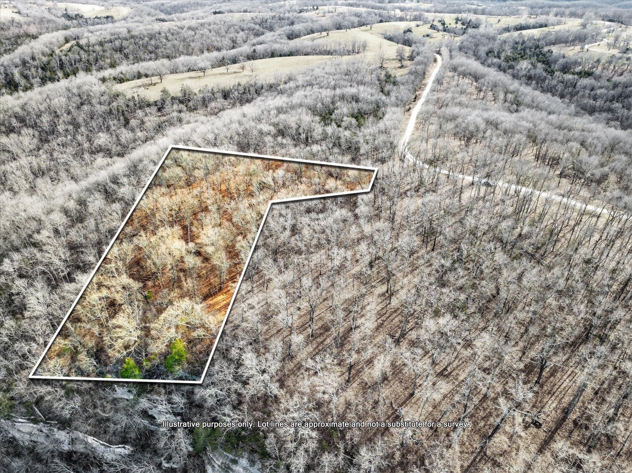 Photo 2 - Land for sale – 000  Regal Heights   Galena, MO