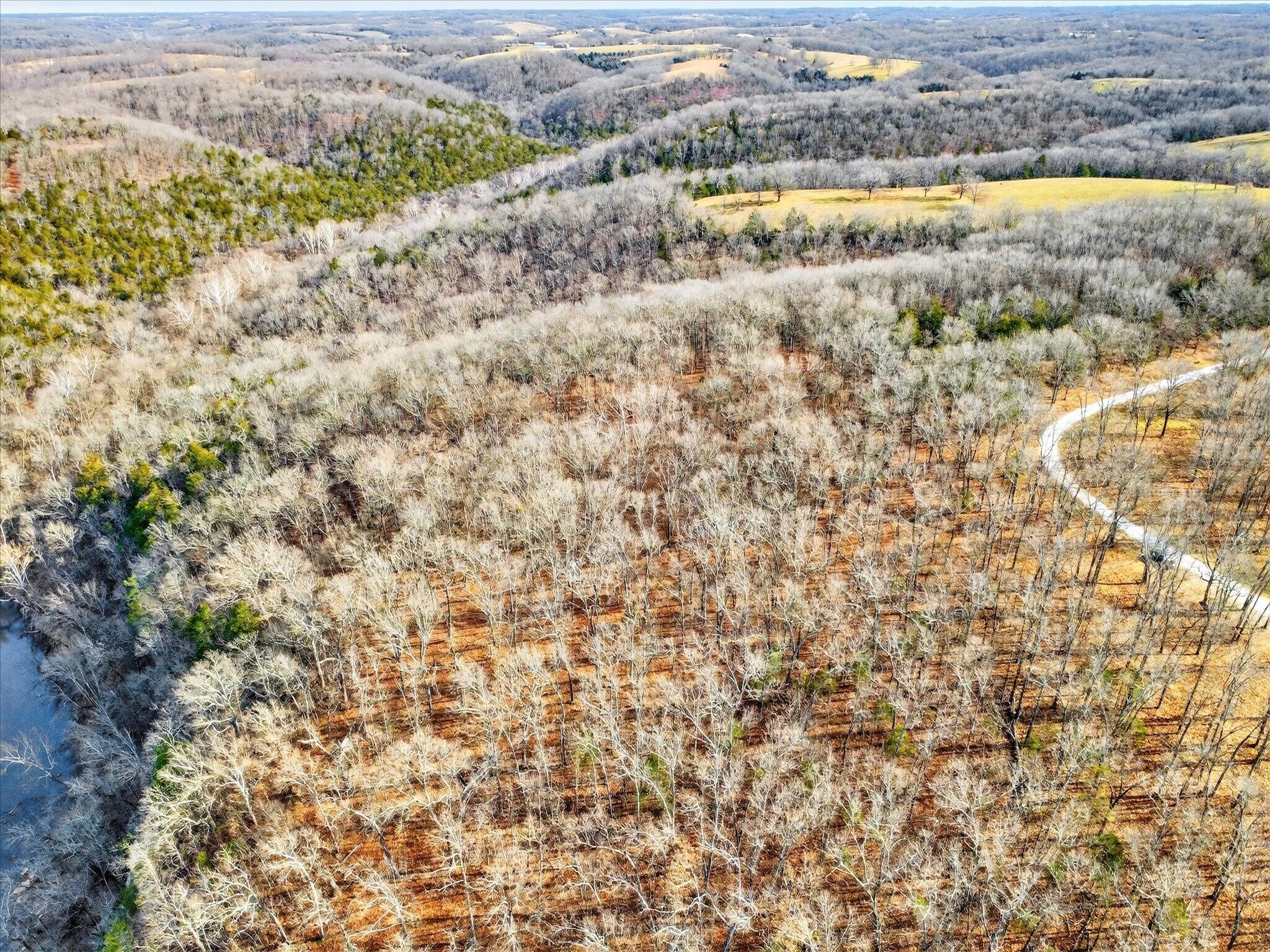 Photo 8 - Land for sale – 000  Regal Heights   Galena, MO