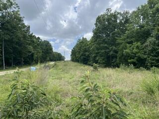 Land for sale – 2371  County Road 359   Thayer, MO