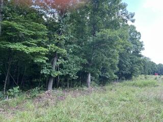 Photo 4 - Land for sale – 2371  County Road 359   Thayer, MO