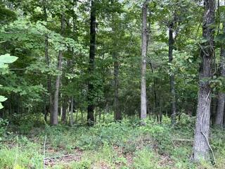 Photo 6 - Land for sale – 2371  County Road 359   Thayer, MO