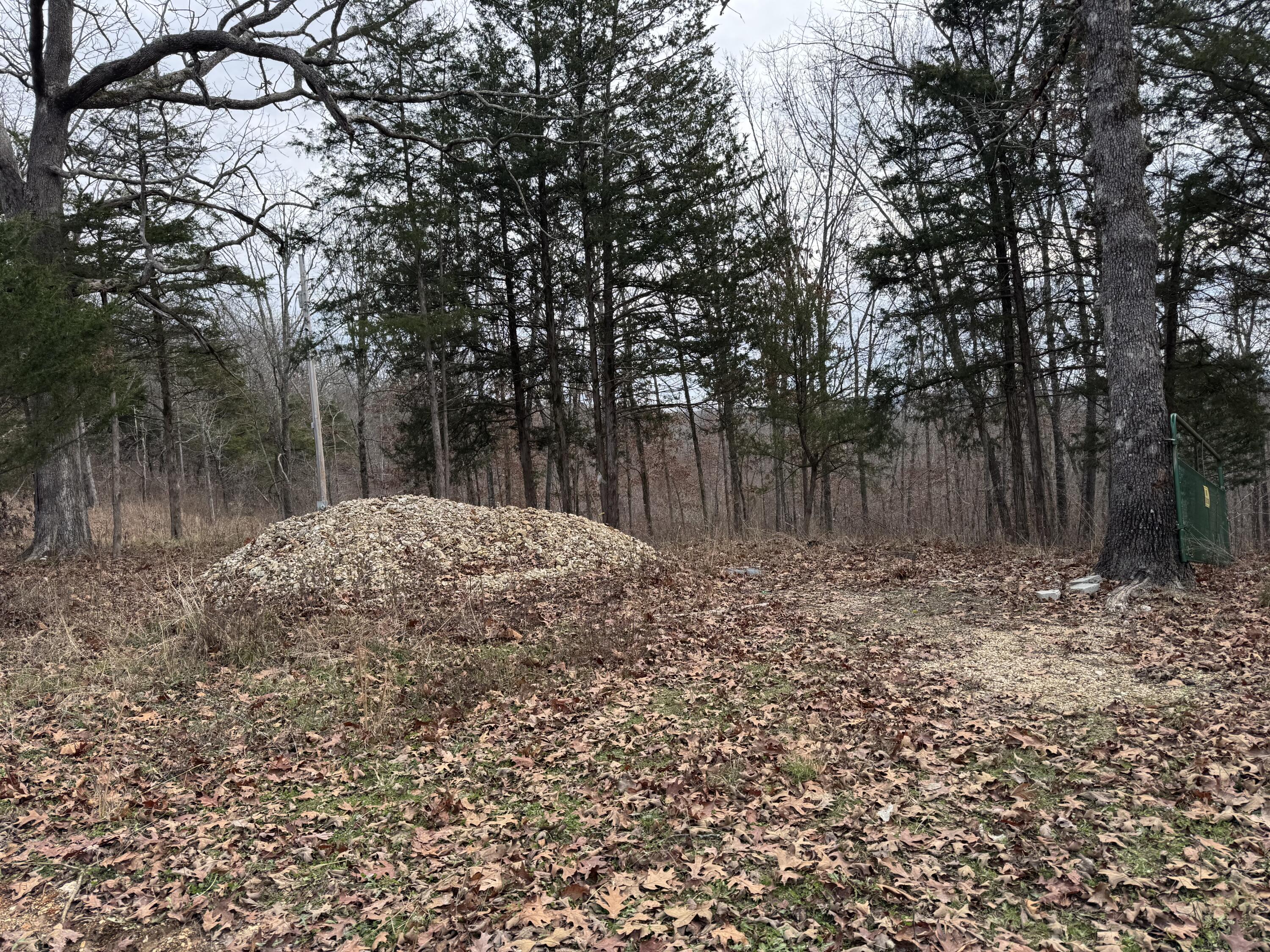 Photo 2 - Land for sale – 13347  County Road E 76-126   Ava, MO