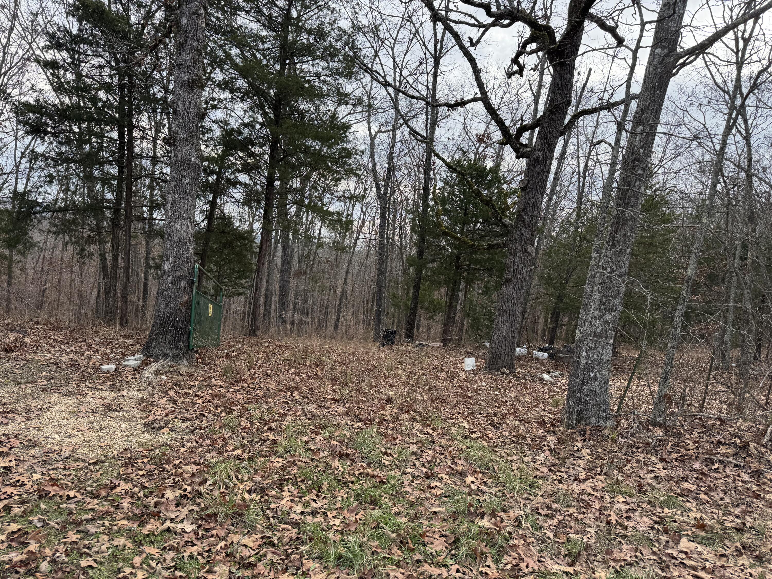 Land for sale – 13347  County Road E 76-126   Ava, MO