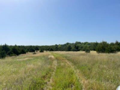 Photo 10 - Land for sale – 000  Us Highway 65   Hollister, MO