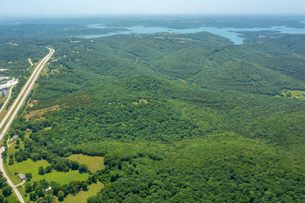 Photo 4 - Land for sale – 000  Us Highway 65   Hollister, MO