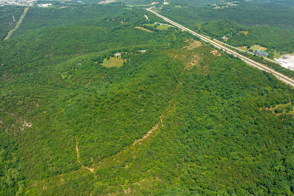 Photo 6 - Land for sale – 000  Us Highway 65   Hollister, MO