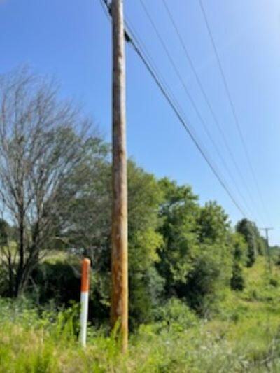 Photo 8 - Land for sale – 000  Us Highway 65   Hollister, MO
