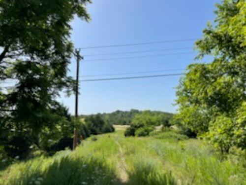 Photo 9 - Land for sale – 000  Us Highway 65   Hollister, MO