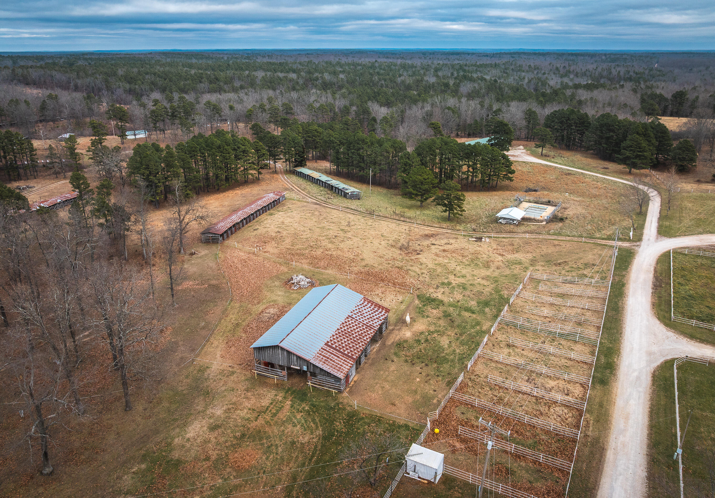 Photo 13 - Farm for sale – 19546  Golden Drive   Raymondville, MO