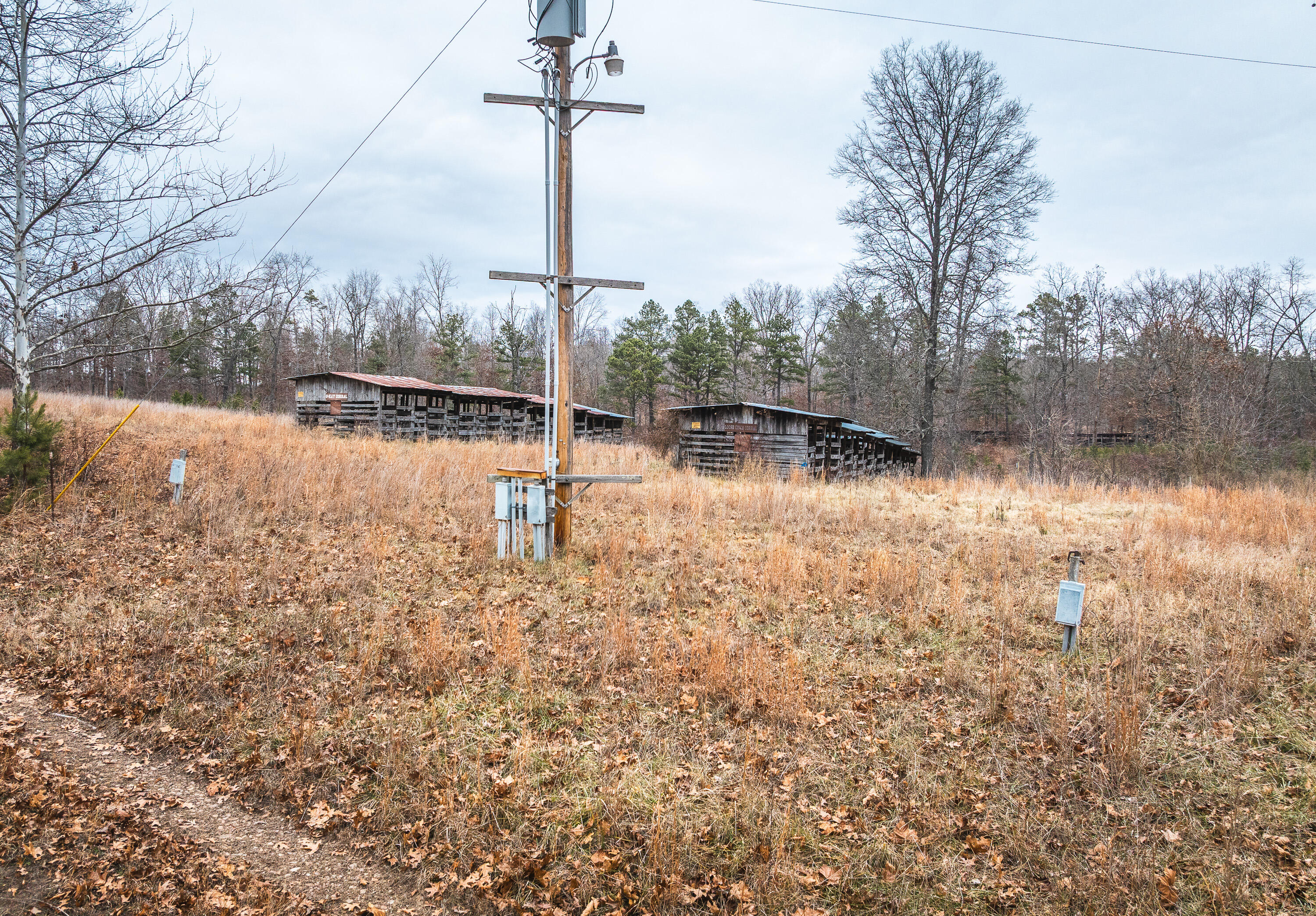 Photo 27 - Farm for sale – 19546  Golden Drive   Raymondville, MO