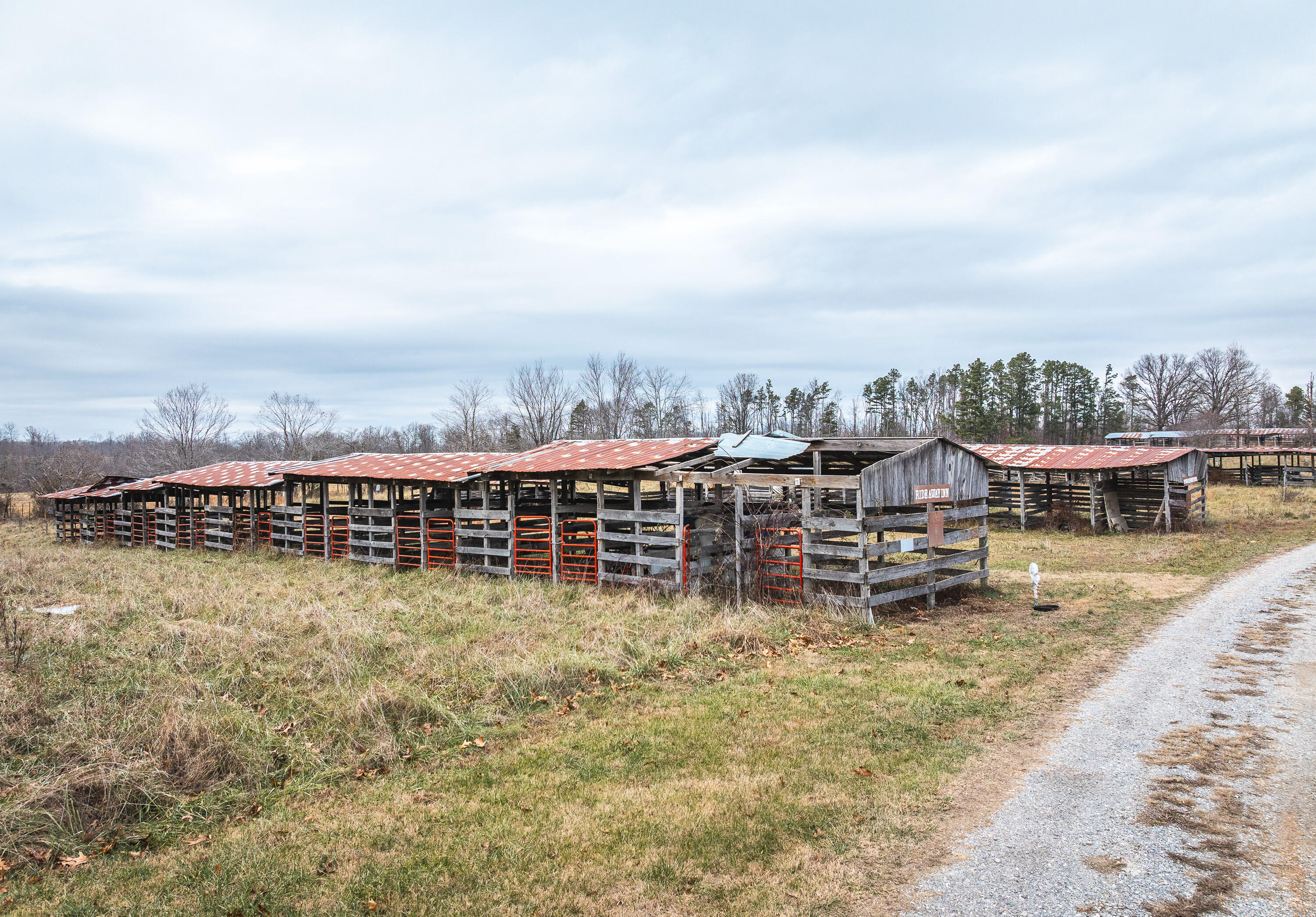 Photo 18 - Farm for sale – 19546  Golden Drive   Raymondville, MO