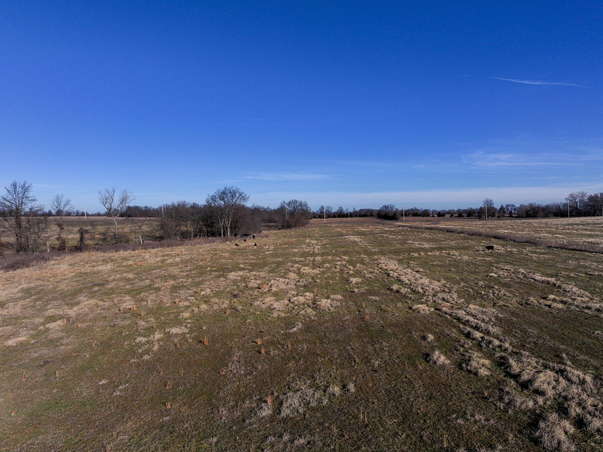 Photo 4 - Land for sale – T1 E Logan Road  El Dorado Springs, MO