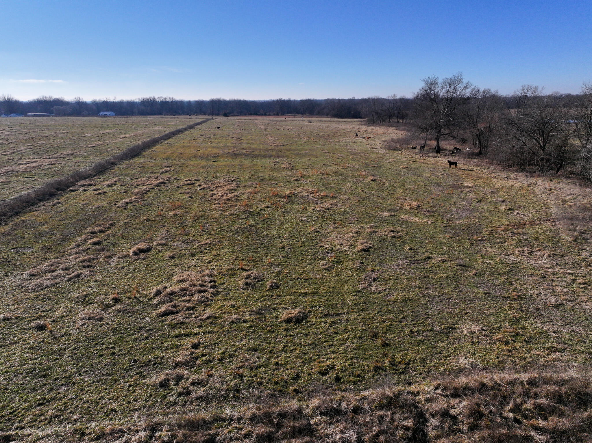 Photo 8 - Land for sale – T1 E Logan Road  El Dorado Springs, MO