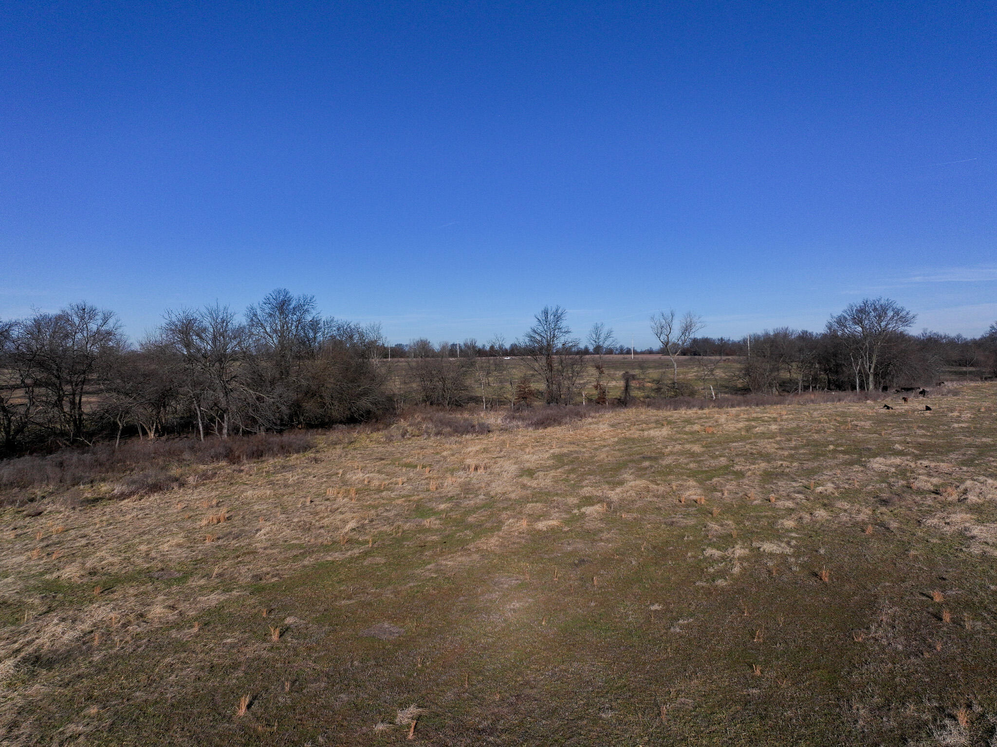 Photo 5 - Land for sale – T1 E Logan Road  El Dorado Springs, MO
