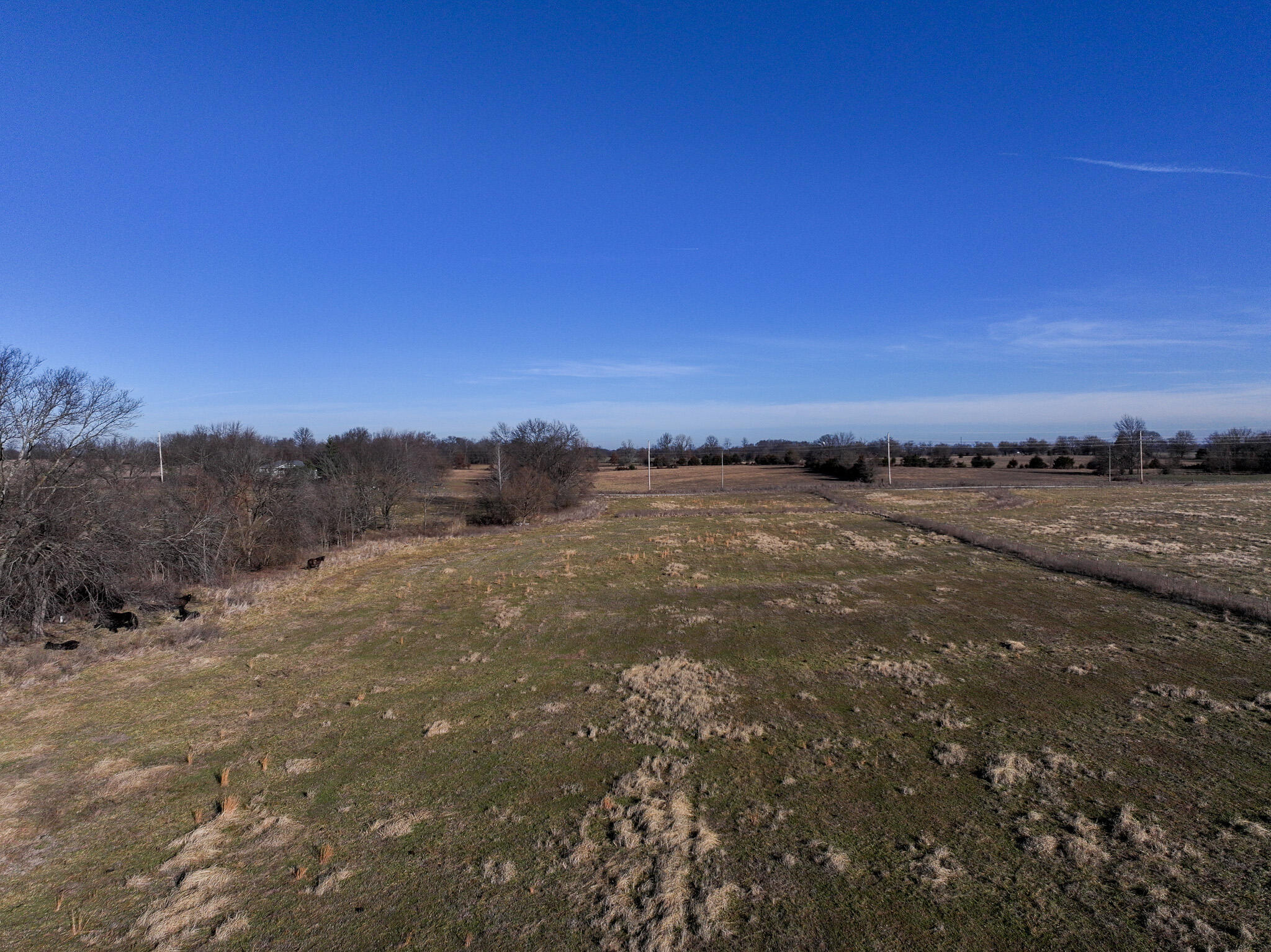Photo 7 - Land for sale – T1 E Logan Road  El Dorado Springs, MO