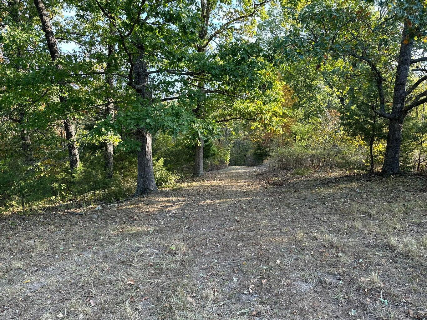Photo 7 - Land for sale – 615  Thomas Hollow Road  Rocky Comfort, MO
