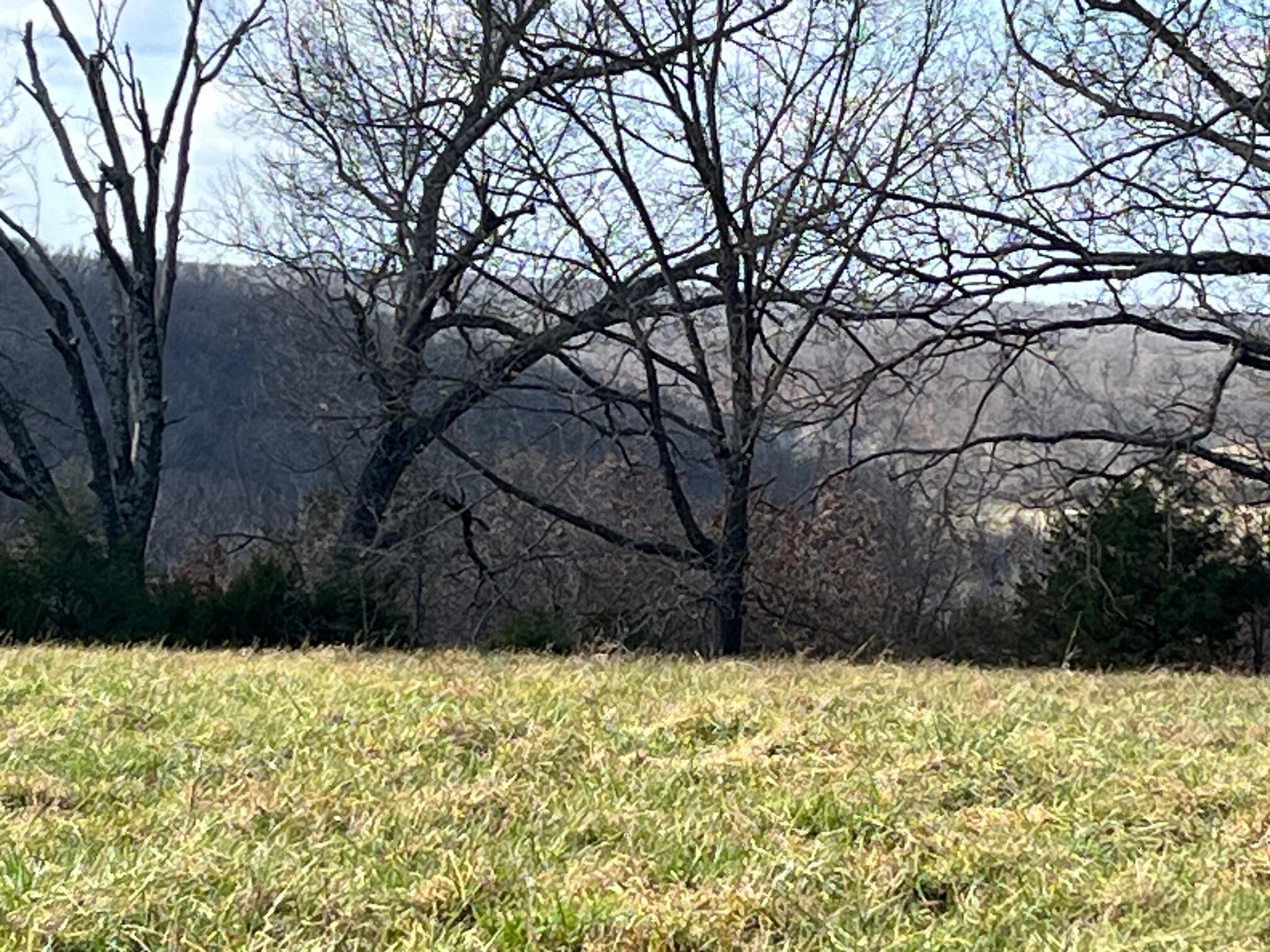 Photo 64 - Land for sale – 615  Thomas Hollow Road  Rocky Comfort, MO